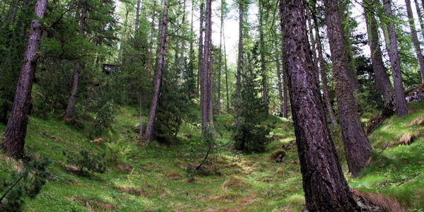 A contatto con la natura