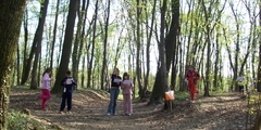 Divertimento per tutti